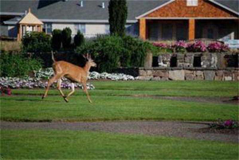 Oregon Garden Resort Silverton Luaran gambar