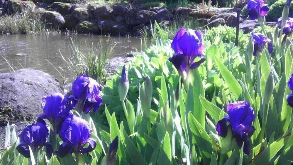 Oregon Garden Resort Silverton Luaran gambar